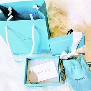 Tiffany & Co. Silver Large Splash Charm New Full Inclusion